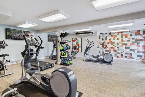 a gym with cardio machines and paintings on the wall