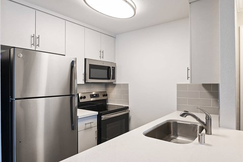 a kitchen with stainless steel appliances and a sink
