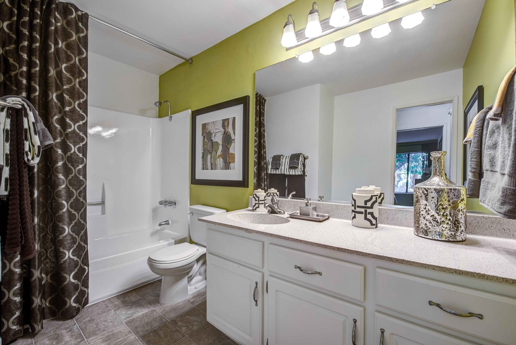 a bathroom with a sink and a toilet and a shower