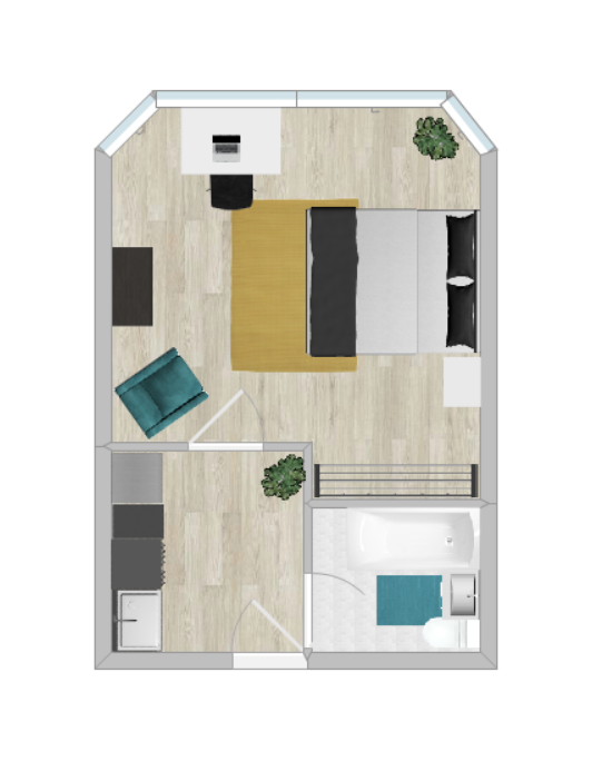 Deluxe Studio W/ Kitchen