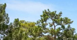 City View Apartments Apartments In Las Vegas Nv