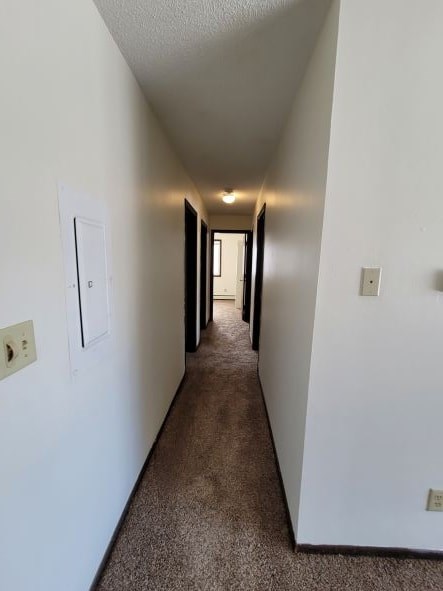 706-720 Ronell St 1-3 Beds Apartment for Rent - Photo Gallery 11