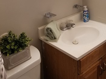 furnished bathroom with decor at River Road Terrace