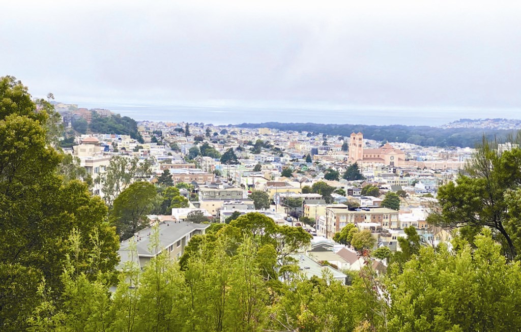 a view of the city from a hill