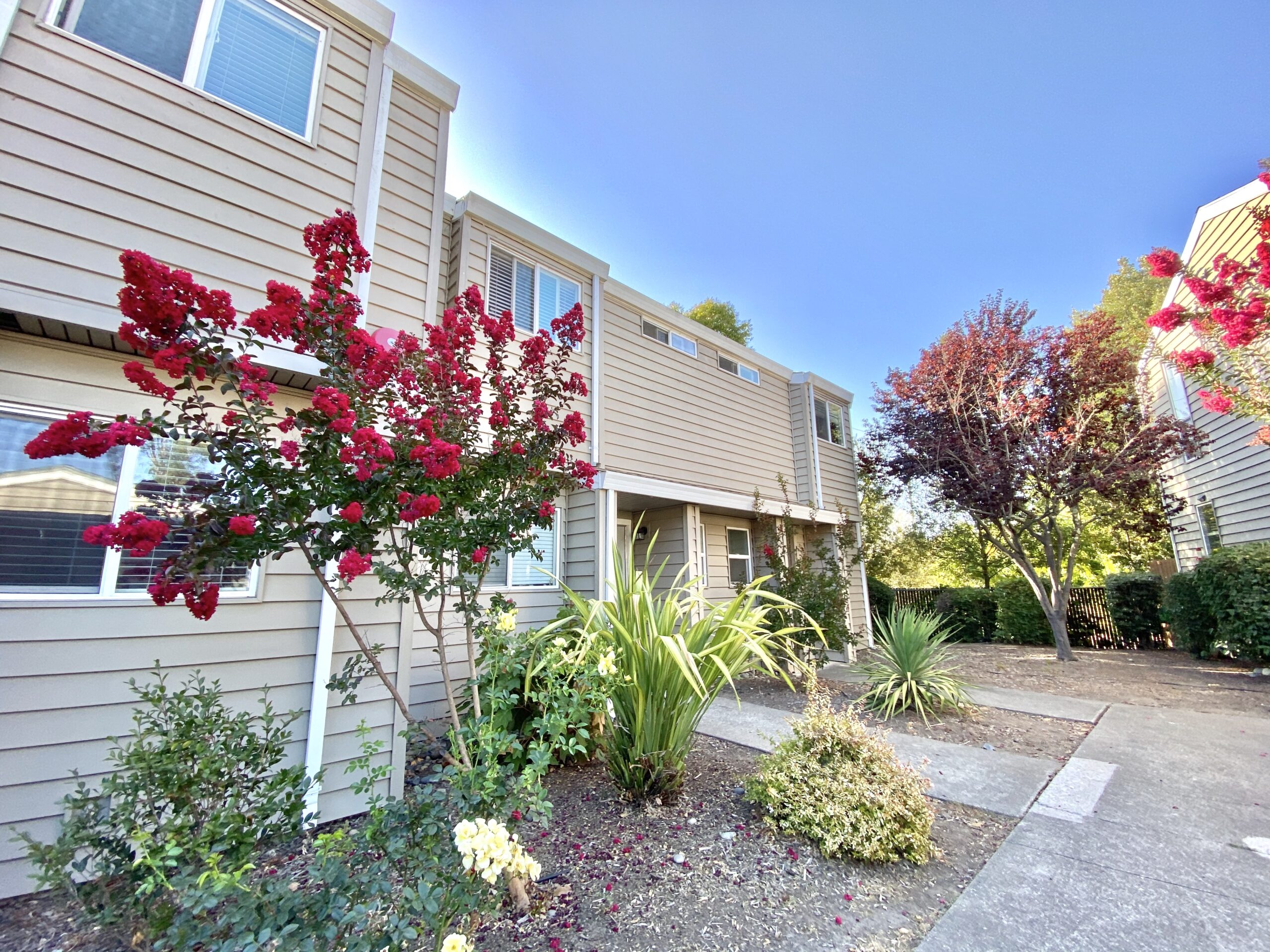 Exterior of Units with ornamental trees and shrubs