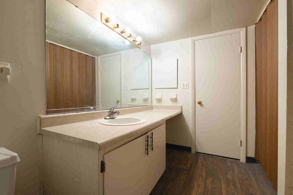 a bathroom with a sink and a mirror