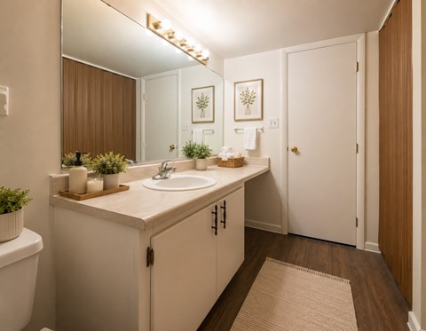 A bathroom with a sink, mirror, and potted plants.