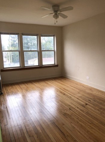 7027 -7033 S Indiana Avenue 1 Bed Apartment for Rent - Photo Gallery 3