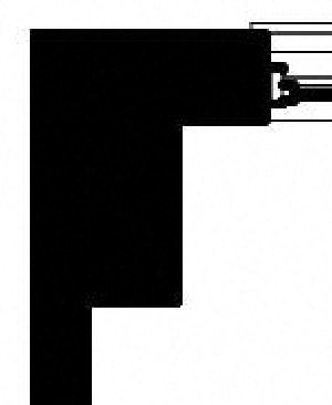 BW09