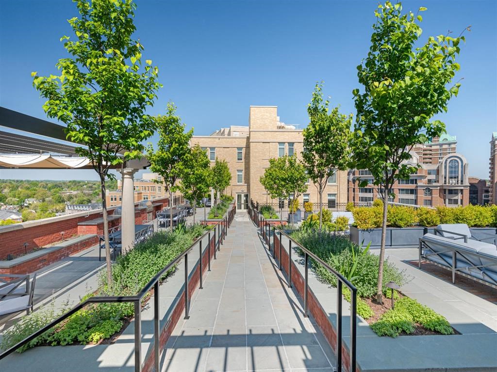 a view of the city from a roof terrace with trees
