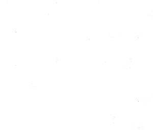 C2