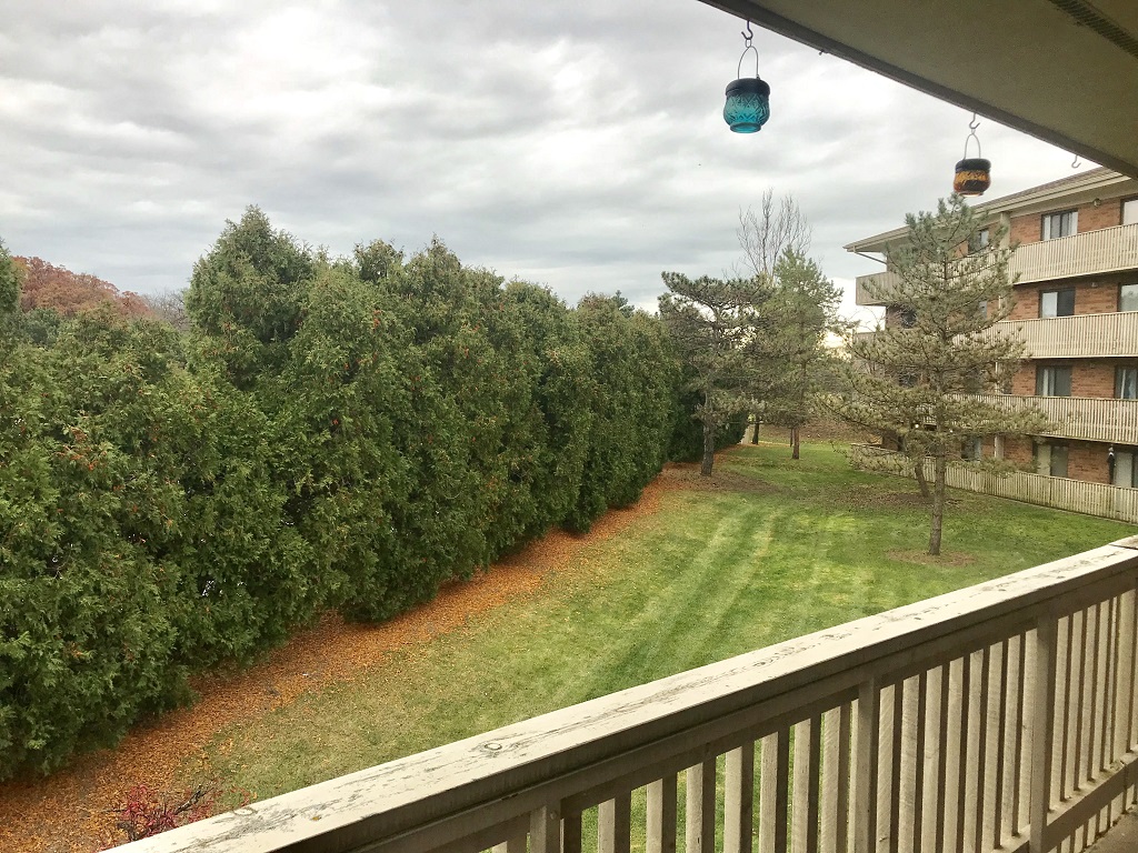 Luna Park Apartments, 1800 Wedgewood Dr, Gurnee, IL RENTCafé