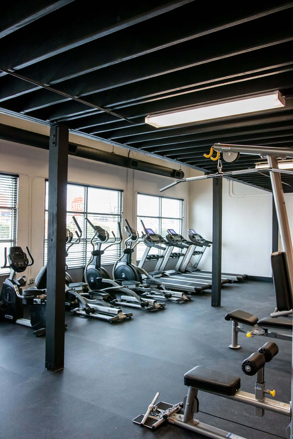 a row of cardio machines in a gym