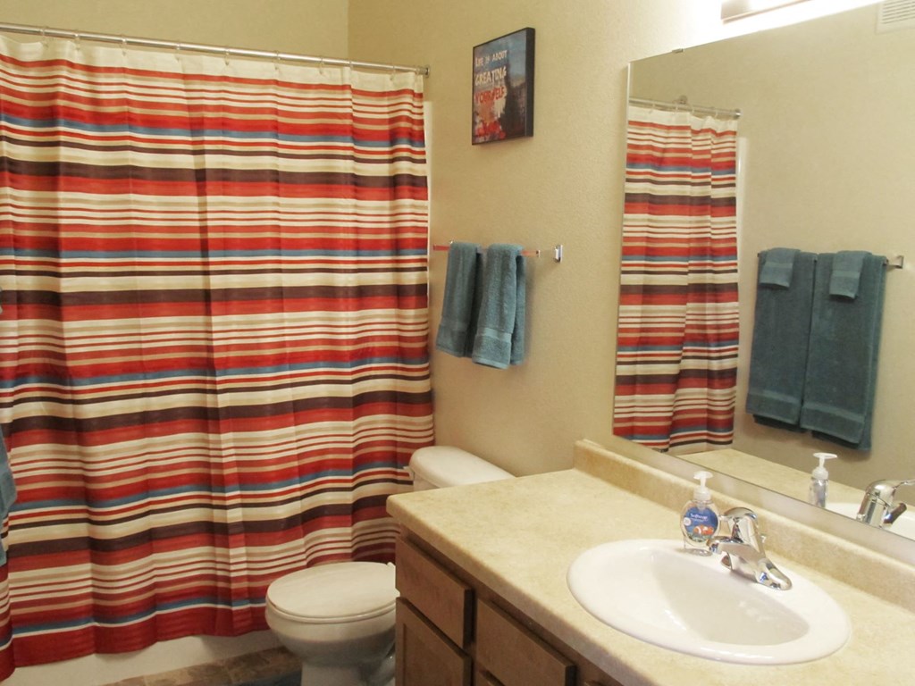a bathroom with a sink and a toilet and a shower