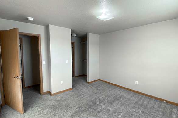 Master bedroom in Osgood Townsite with walk-through closet, entrance to bathroom, and carpet flooring