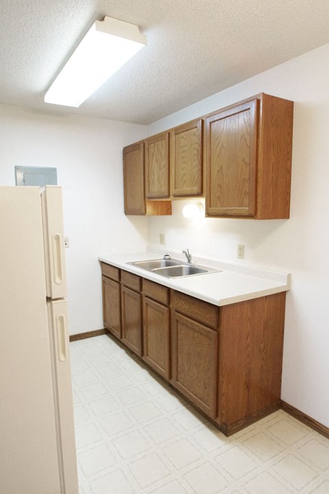 a kitchen with a sink and cabinets and a refrigerator