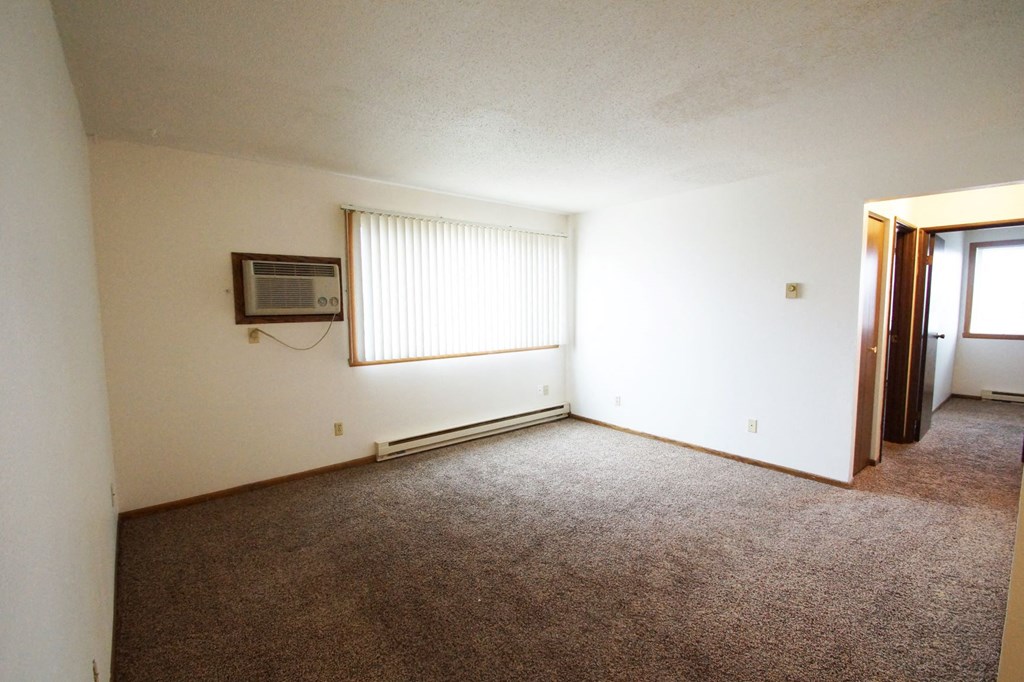 an empty living room with carpet and a window