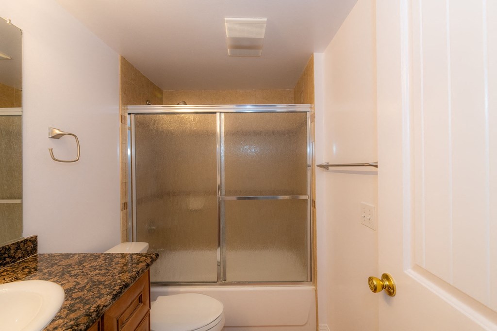 A bathroom with a walk-in shower and a toilet.