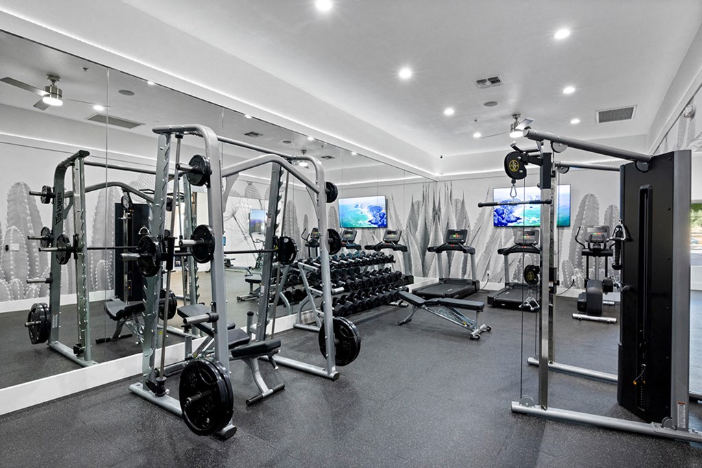 the gym is equipped with weights and cardio equipment