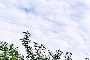 Photos And Video Crown Colony Apartments Apartments In Topeka Ks