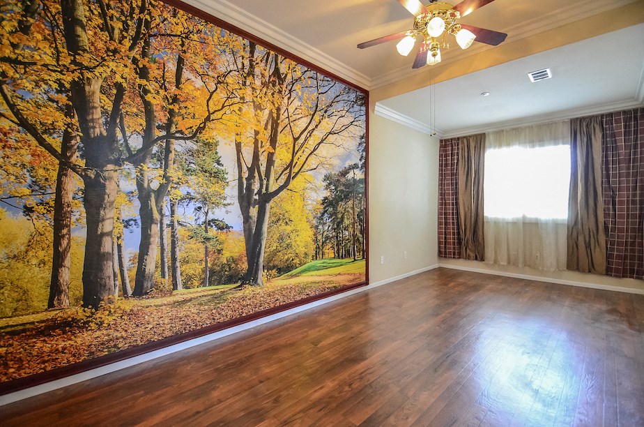 an empty living room with a large wall mural of trees in the woods