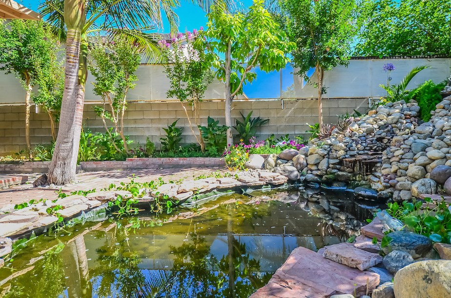 a garden with a pond and palm trees