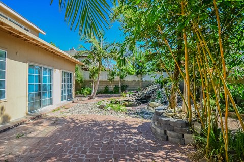 a backyard with palm trees and a house