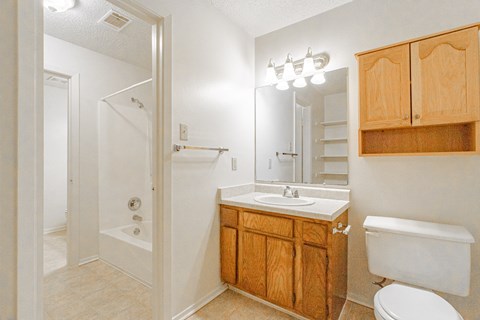 a bathroom with a sink toilet and a shower