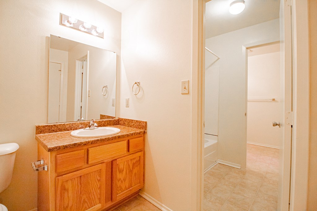 a bathroom with a sink and a mirror and a toilet