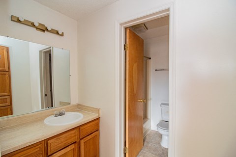a bathroom with a sink and a mirror and a toilet