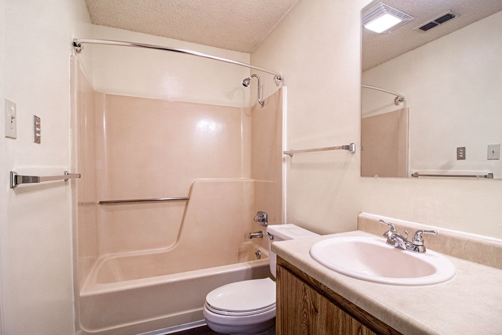 a bathroom with a sink and a shower and a toilet