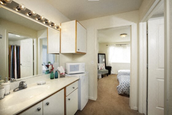 a bathroom with a sink and a mirror and a bedroom