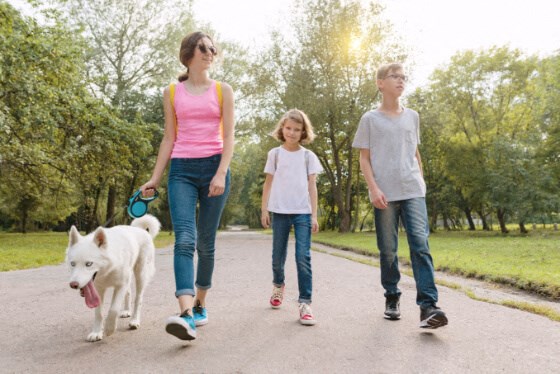 a family walking their dog in the park