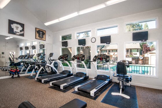 a gym with cardio equipment and windows on the wall