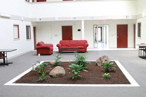 a lobby with two couches and plants in the middle