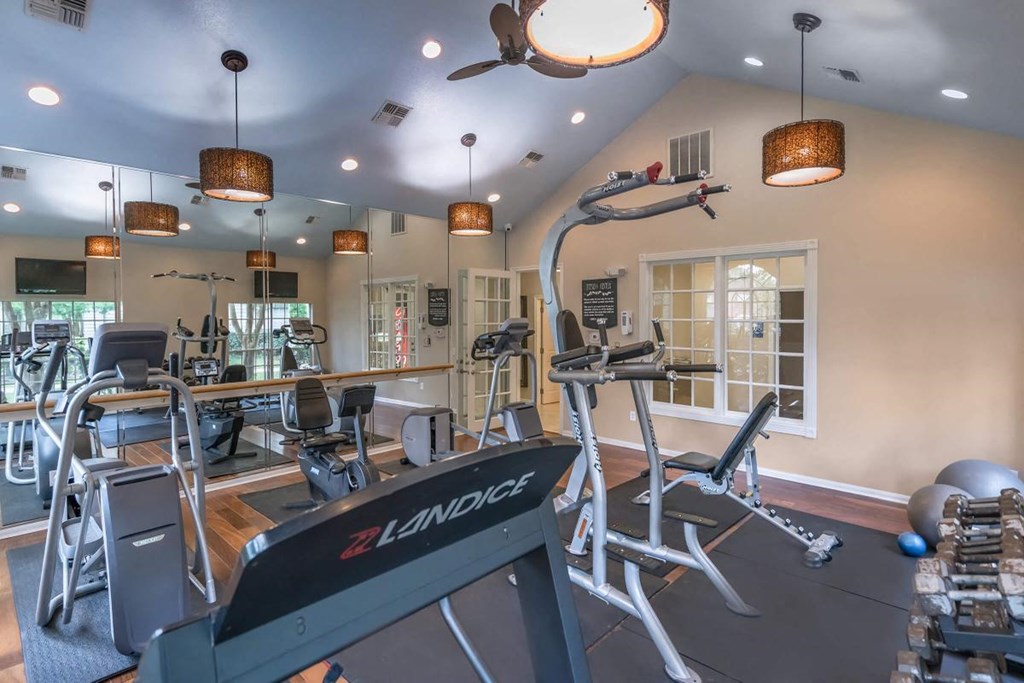 a gym with weights and cardio equipment in a home gym