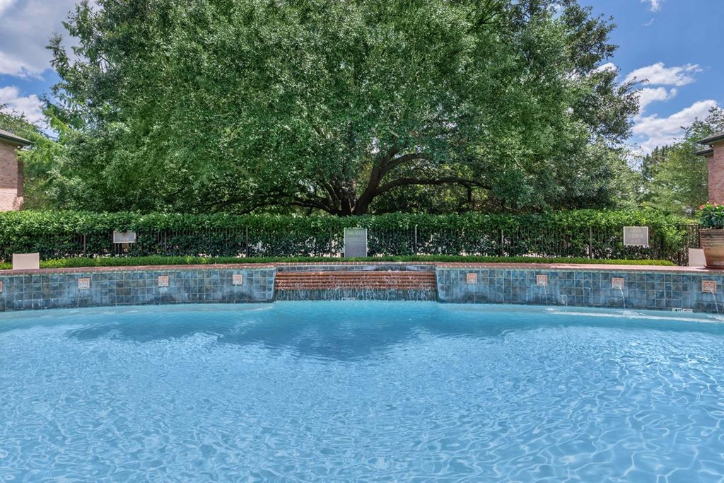a large swimming pool with a tree in the background