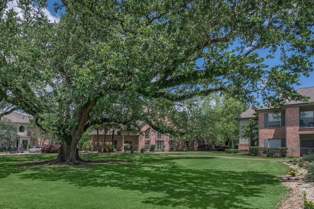 a large tree in the grass in front of a building