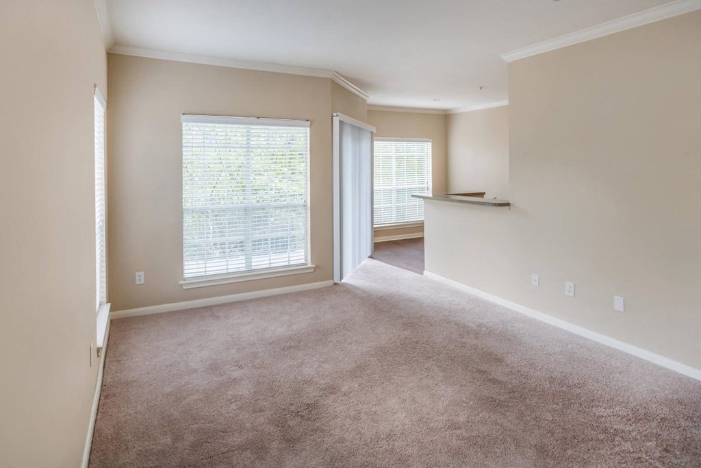an empty living room with a large window and carpet