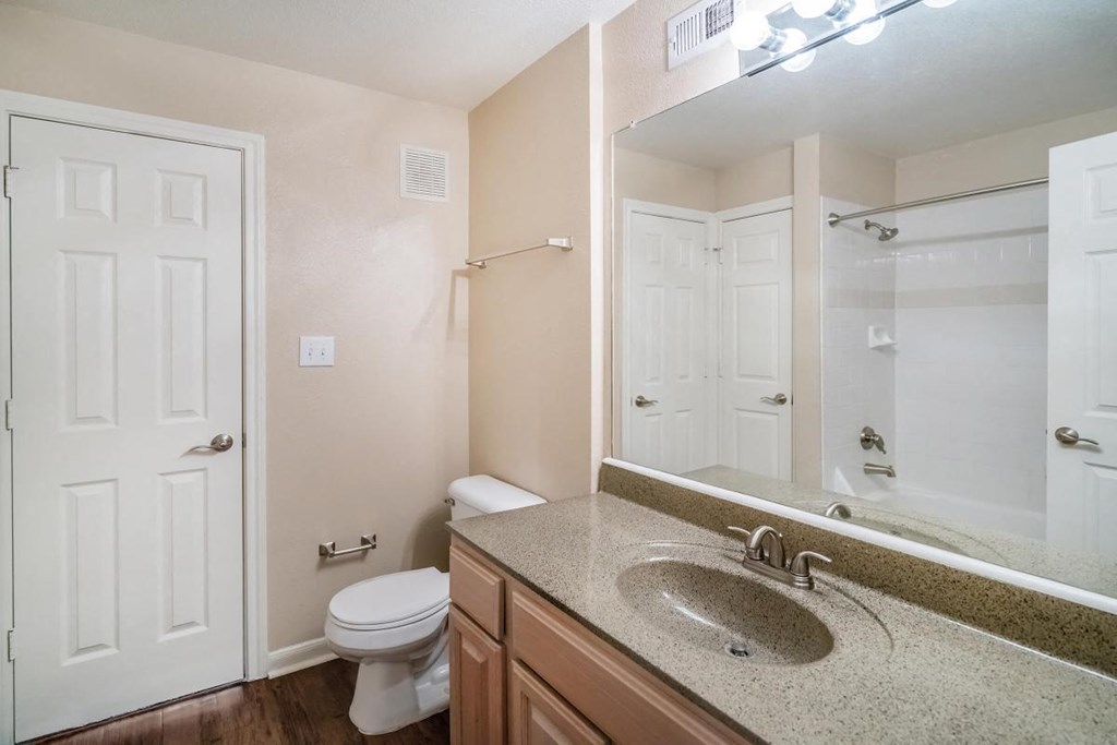 a bathroom with a sink and a toilet and a mirror