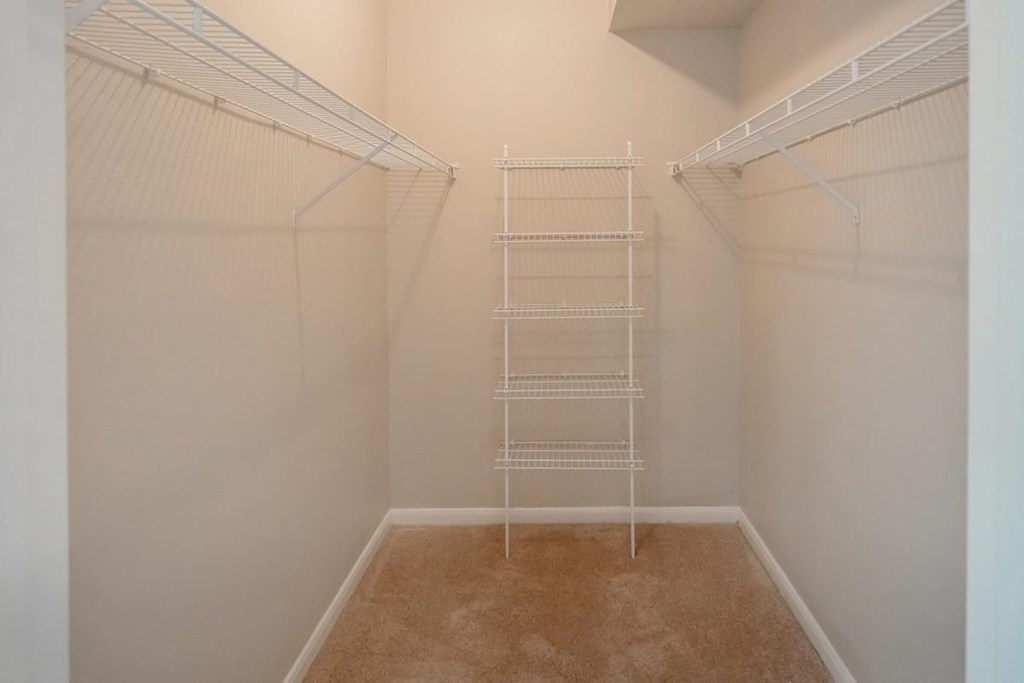 a walk in closet with a ladder in it