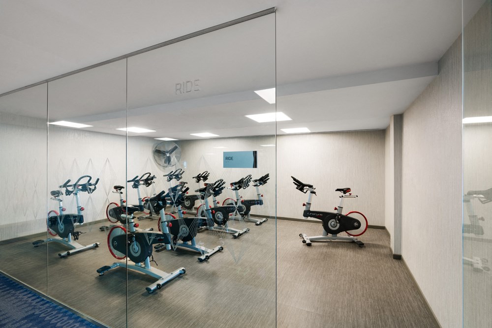a gym with cardio machines and a wall of glass