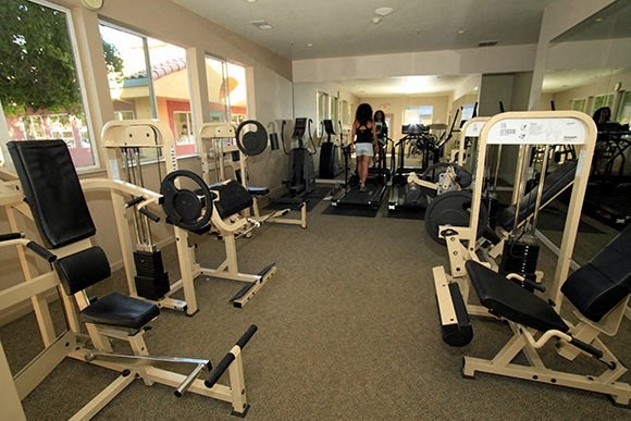 a gym with a lot of weights and exercise equipment