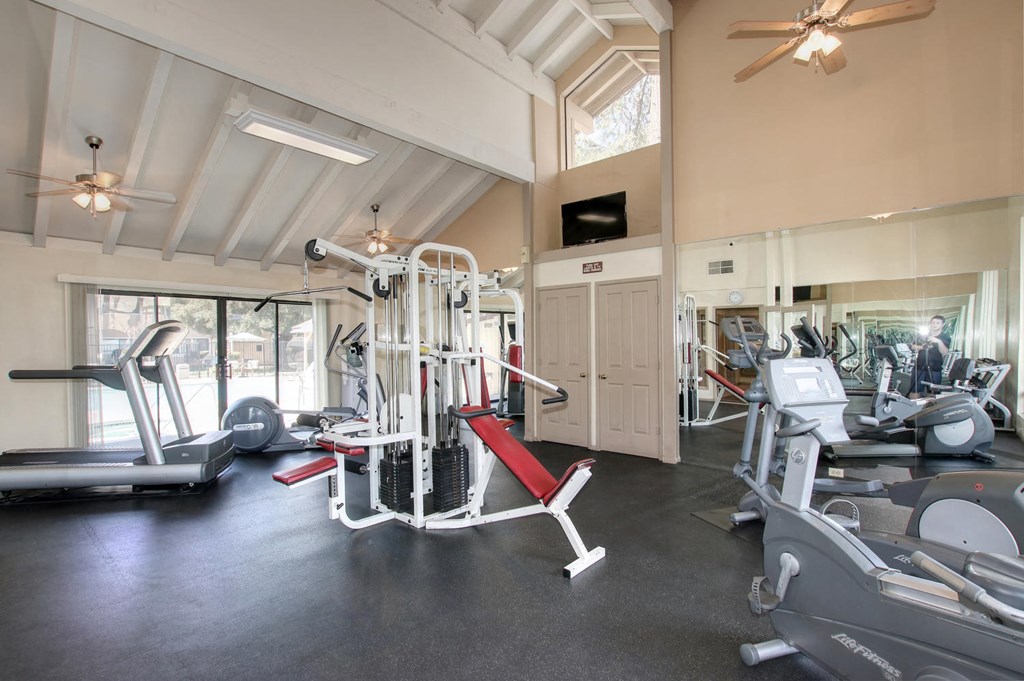 the gym is equipped with state of the art equipment