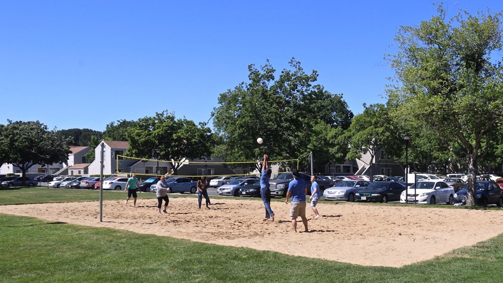 a group of people playing volleyball on a sand court