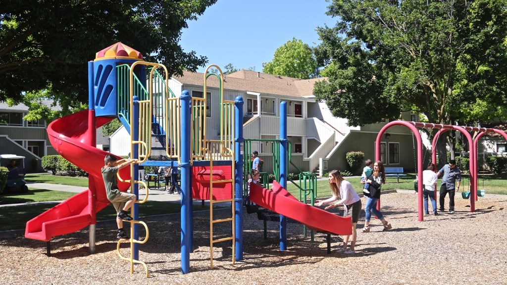 people playing on a playground at a park