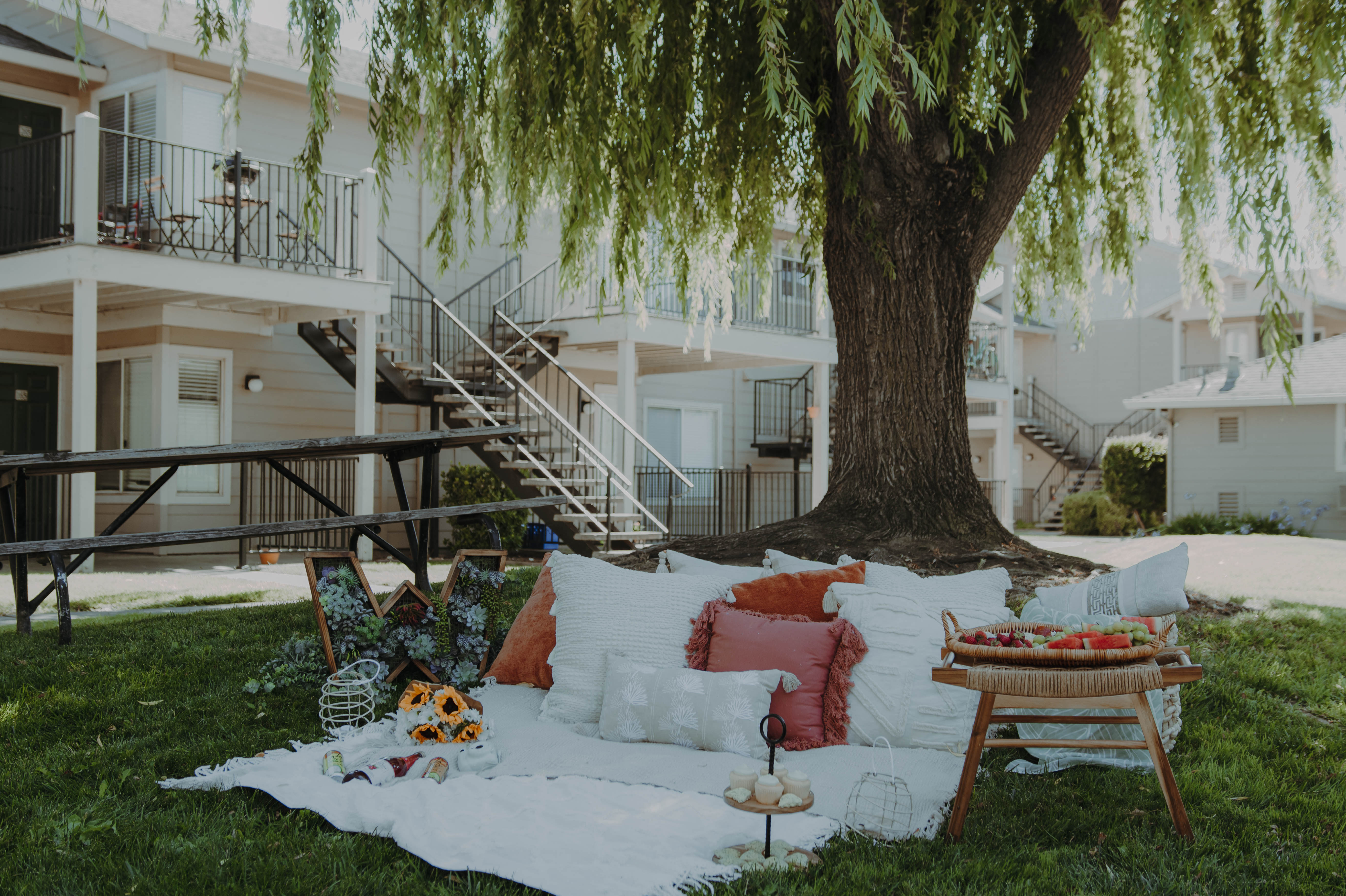 a couch with pillows under a tree in a backyard
