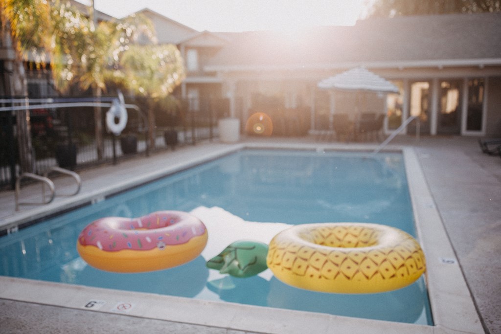 two donuts sitting next to a swimming pool