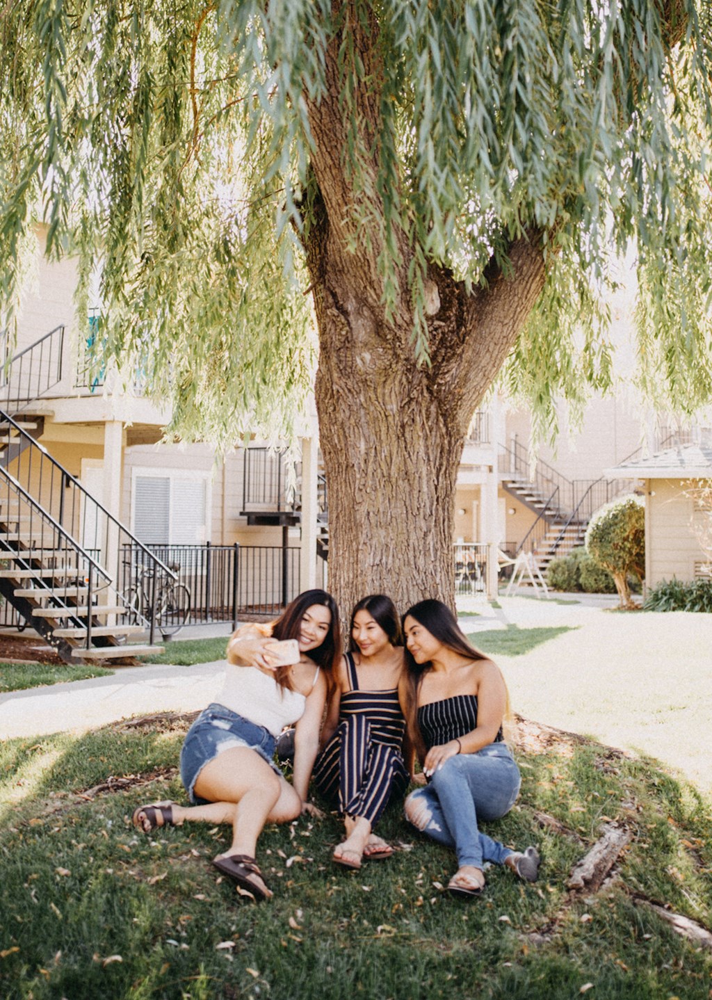 three women sitting under a tree with a dog