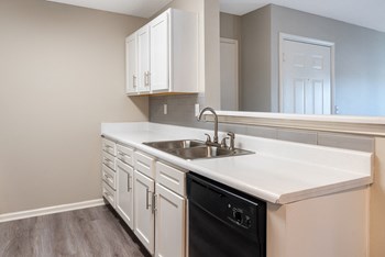 100 Park Ridge Drive 1-3 Beds Apartment for Rent - Photo Gallery 6